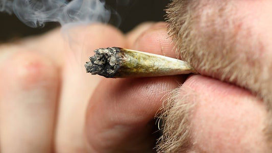 Marijuana in the Workplace