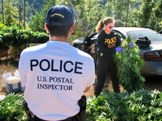 Cannabis Use and Driving