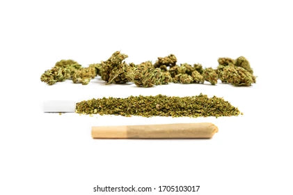 Researchers Say Marijuana Legalization Comes at a Hidden Cost to Youth