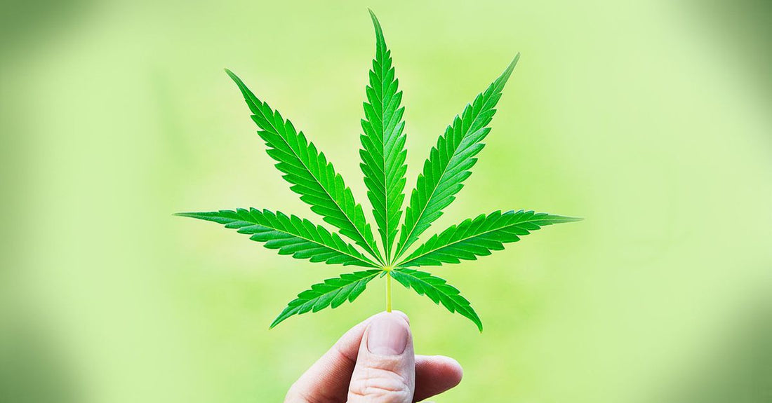 Webinar: Marijuana Prevention & Awareness Programs Fostering Healthy Lifestyles
