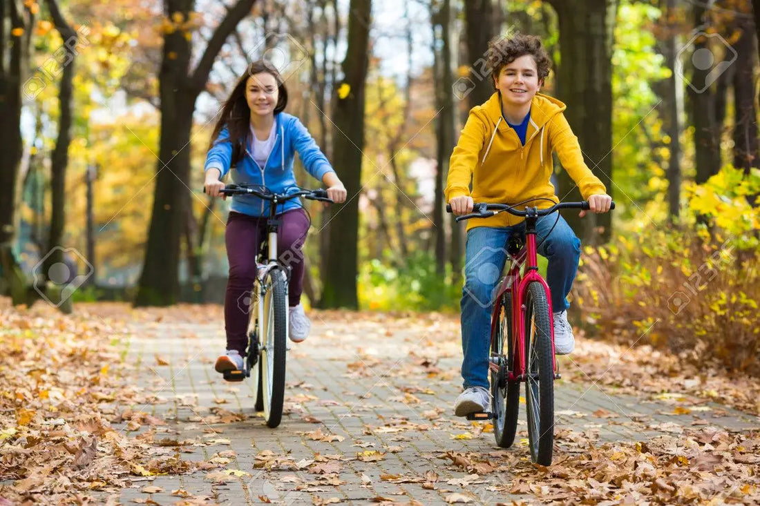 Leisure-Time Physical Activity and Mental Health of Youth