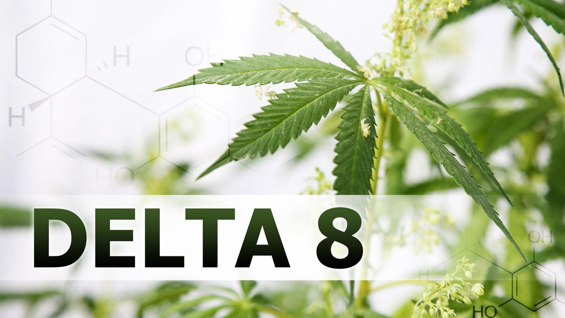 Know Your Cannabis-What is Delta-8?