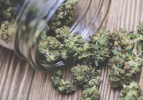 7 Tips for Reducing Marijuana Risks for Adults and Youth