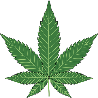 Webinar: Marijuana Prevention & Awareness Programs Fostering Healthy Lifestyles (New Update)