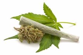 Marijuana Use Prevention Webinar