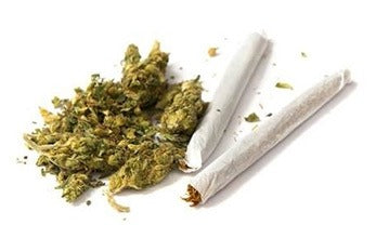 The Risks of Marijuana Use