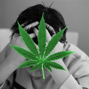 Marijuana Media Campaigns