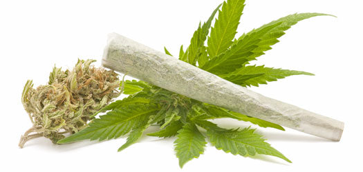 Holiday Special: Marijuana Awareness Media Campaign 75% Off
