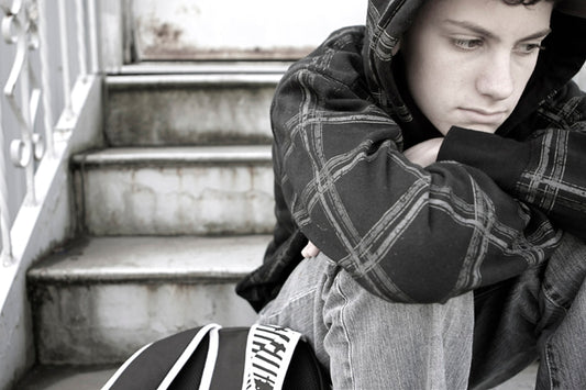 Evidence-based Prevention Programs for High Risk Youth